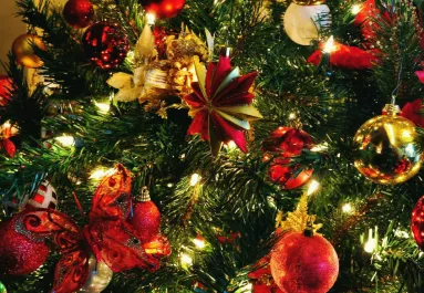 Tudtátok? Ezért éppen vízkeresztkor kell kidobni a karácsonyfát!