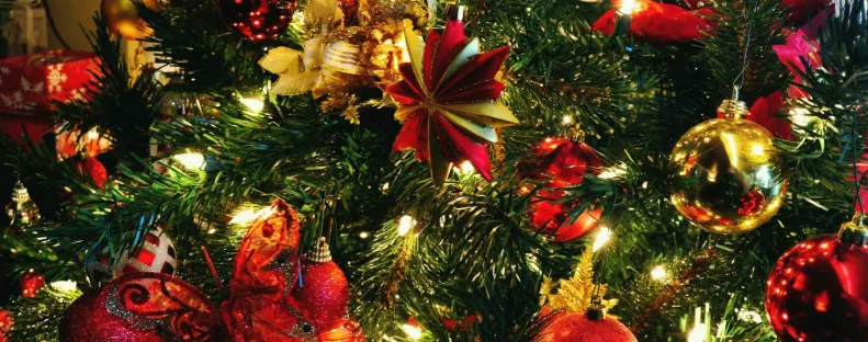 Tudtátok? Ezért éppen vízkeresztkor kell kidobni a karácsonyfát!