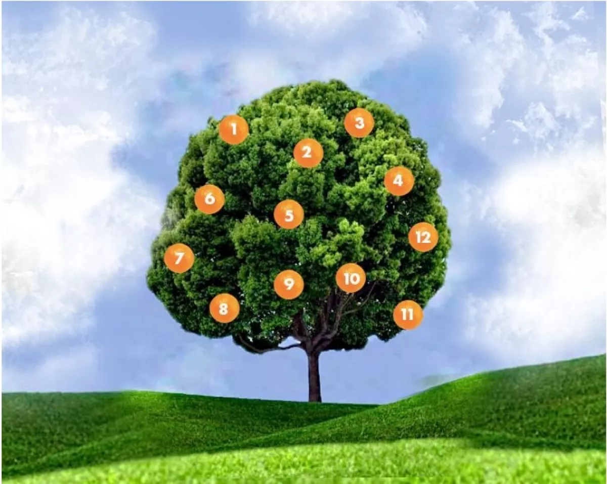 Melyik gyümölcsöt szakítanád le? Ezt árulja el rólad!