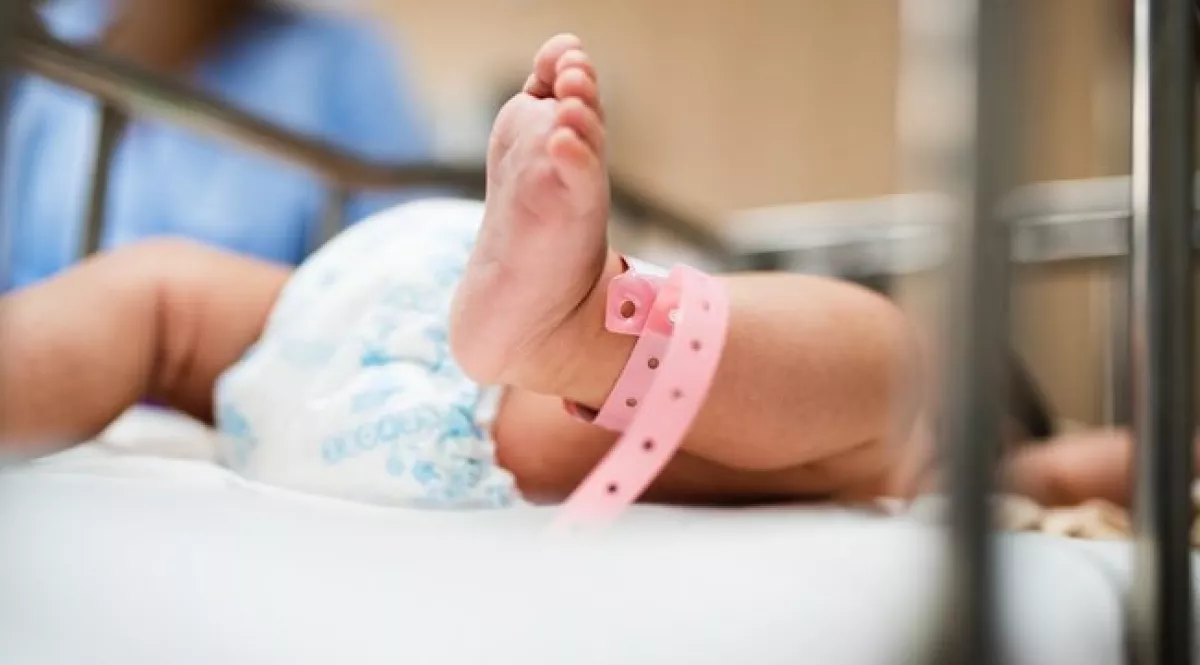 1400 forintért árulták Milánkát a Facebook-csoportban! - Fotó