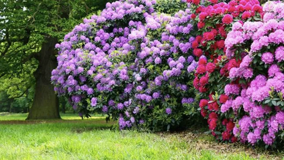 Zseniális képrejtvény! Meztelen nők bújtak el ezeken a fotókon! Megtalálod őket?