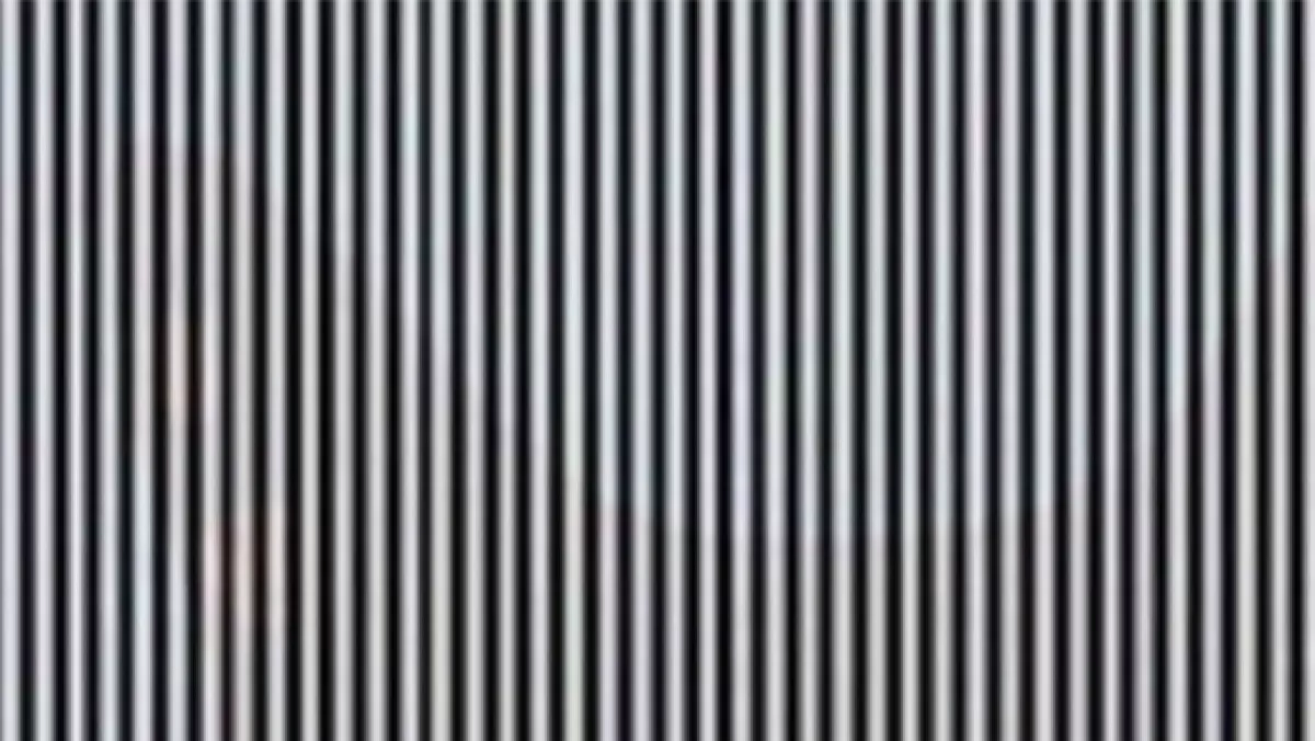 OPTIKAI CSALÓDÁS: Milyen állatot látsz a képen?