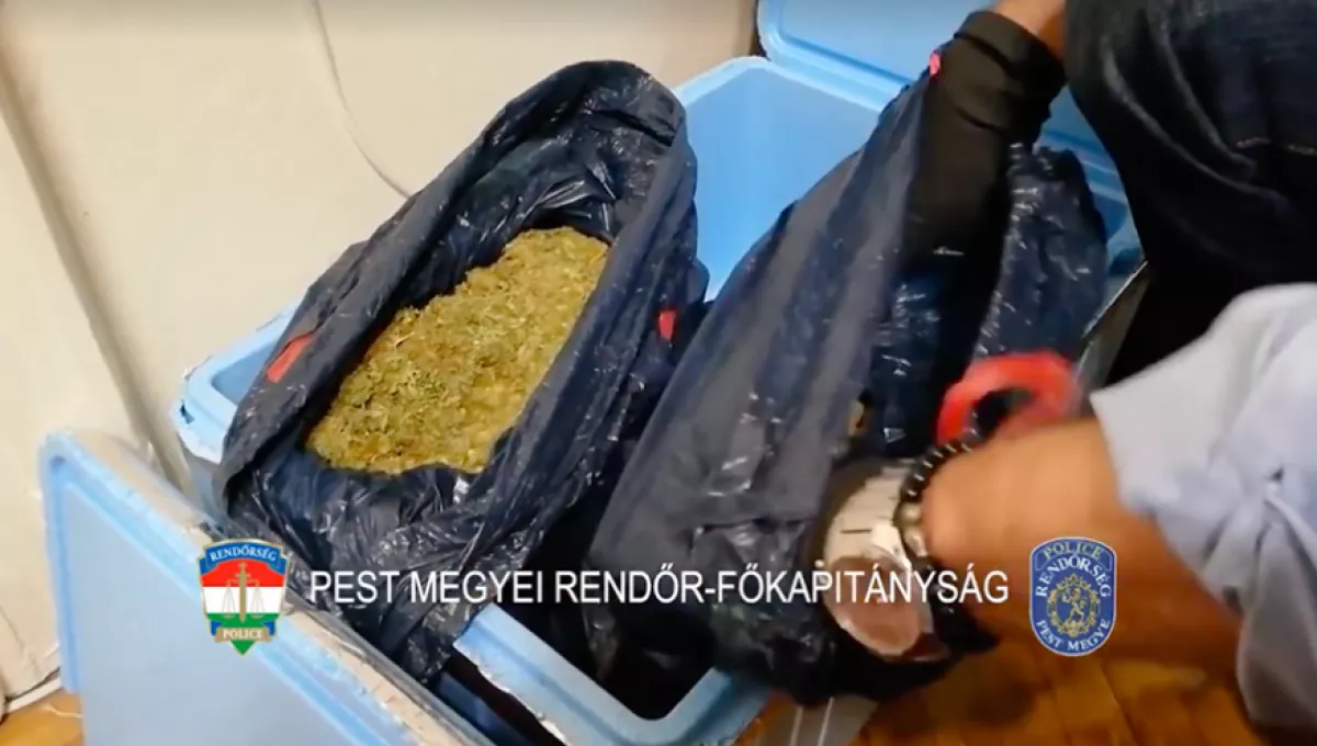 Megjöttek a felvételek! Droglaborra csaptak le - férfiakat, nőket vettek őrizetbe! - Videók