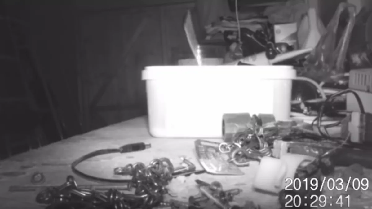 Valaki minden este rendet rakott a férfi műhelyében, a kamera felvételén ledöbbent a világ