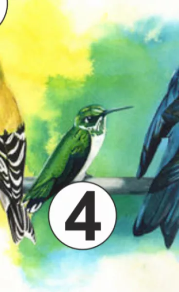 4. madár: A Te életedből most legjobban az önbecsülés hiányzik!  Alulértékeled önmagad. Gyakran érzed úgy, hogy az egész világ ellened van. Nagyon nehezen győzöd le a kudarcokat, és nehezen teszed túl magad rajtuk, ezért inkább igyekszel kerülni az olyan helyzeteket, ahol szembesülhetsz velük. Gyakran megesik veled, hogy „belehallasz” valamit mások mondanivalójába, idegesít, ha valaki hangosan felnevet a társaságodban, mert úgy gondolod, hogy rajtad nevet. Ilyenkor ellenőrzöd, hogy nem koszos-e az arcod, rendben van-e a ruhád. A lelked mélyén tudod, hogy sokkal értékesebb vagy annál, amit magadról gondolsz, csak olyan környezetre van szükséged, ahol ezt megerősítik benned.