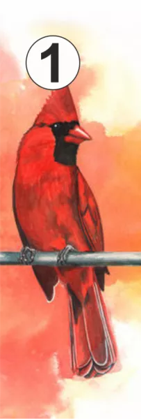 1. madár: Neked most egy kis nyugalomra lenne szükséged!  Úgy érzed, soha nem ér véget a küzdelem. Amint befejezel valamit, máris újabb feladat vagy kihívása áll előtted, ami arra vár, hogy megold.Nem nagyon van olyan pillanat az életedben, amikor elégedetten hátra dőlsz, és azt mondod: mindent elintéztem, mindent megoldottam. És a legnagyobb gond ezzel az, hogy nem a saját problémáidon dolgozol, hanem mindenki másén. Úgy érzed, ha nem teszel meg valamit, azzal kevesebb vagy, és megbántasz valakit, ezért saját magadra már semmi energiád nem jut. Meg kell tanulnod nemet mondani, mert olyan fáradt már a lelked, hogy az élet úgy siklik el melletted, hogy szinte nem is élvezted soha!