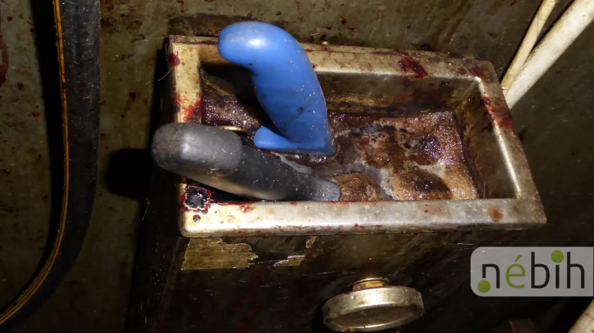 Lecsapott a Nébih! - Békatetemet is találtak a húsüzemben - Durva fotók