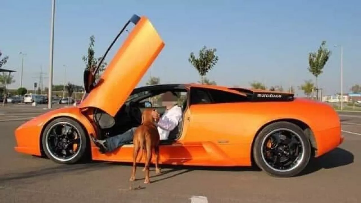 Eltűnt maglódi vállalkozó: már gyilkosság miatt nyomoznak! 