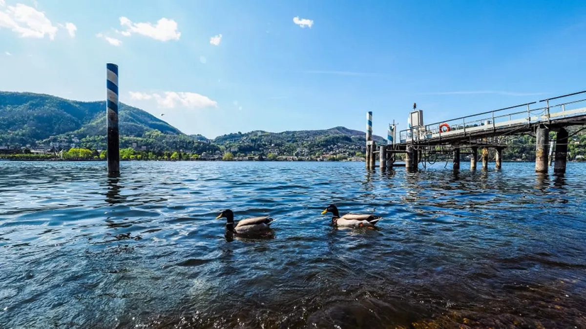 Beugrott a tóba, azóta sem találják a 24 éves válogatott focistát!