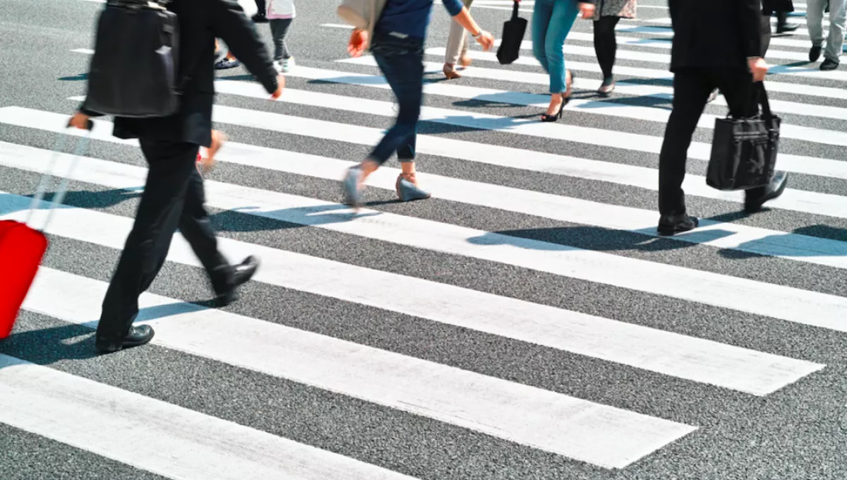 Hatásos! Itt a zebra, amitől halálfélelme lesz az autósoknak! - Fotók