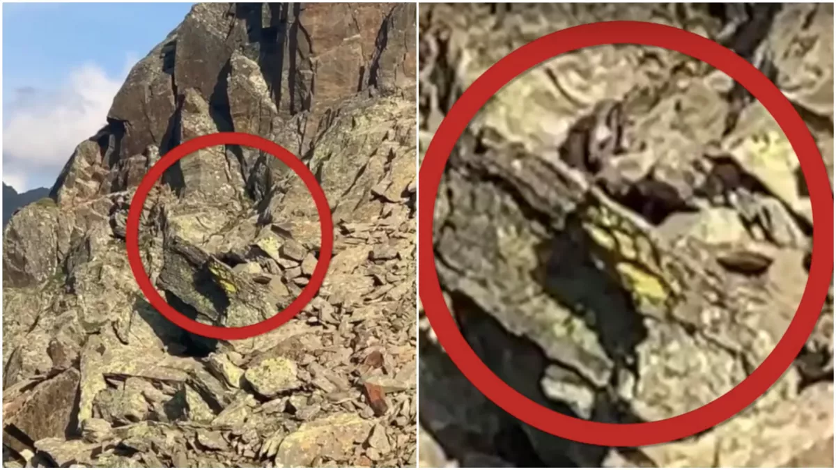 Hátborzongató! Különös lényt filmeztek az Alpokban - Szerinted mi lehet ez? - Videó