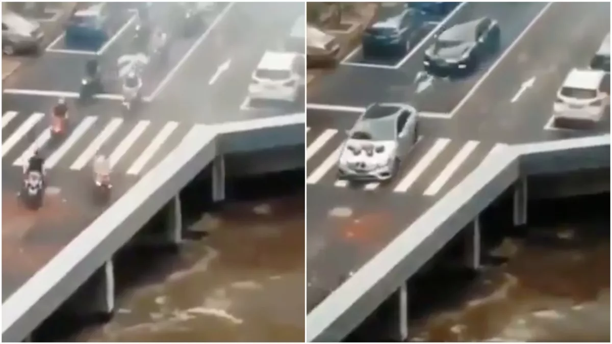 Megőrül a világ ettől a videótól! Te látod?