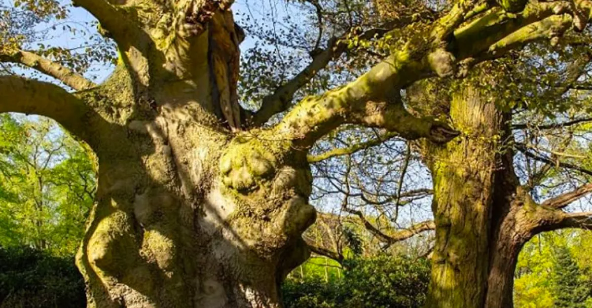Beleőrülsz! Ezeken a képeken 1-1 nő bújt el! Egy perc alatt megtalálod őket?
