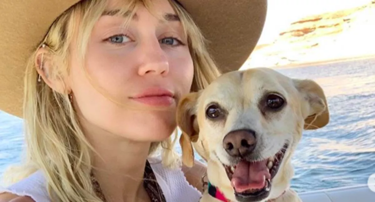 Megrémült a világ Miley Cyrus új külsejétől! Sokan aggódnak érte - Fotók