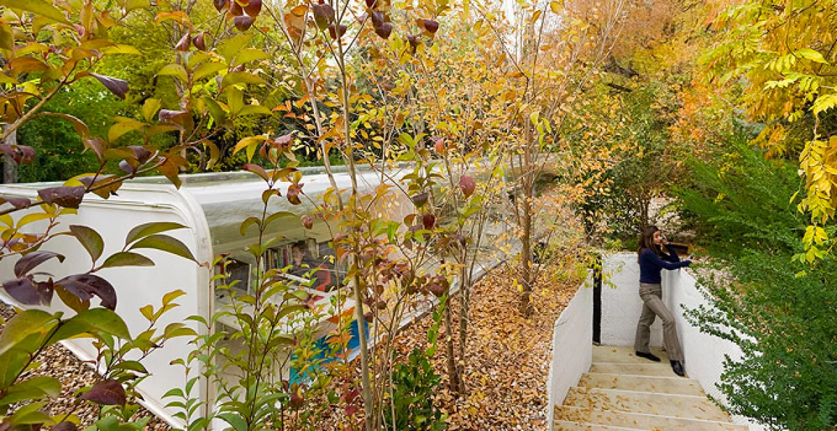 Álomiroda: kiköltözött az erdőbe egy madridi cég - Fotó