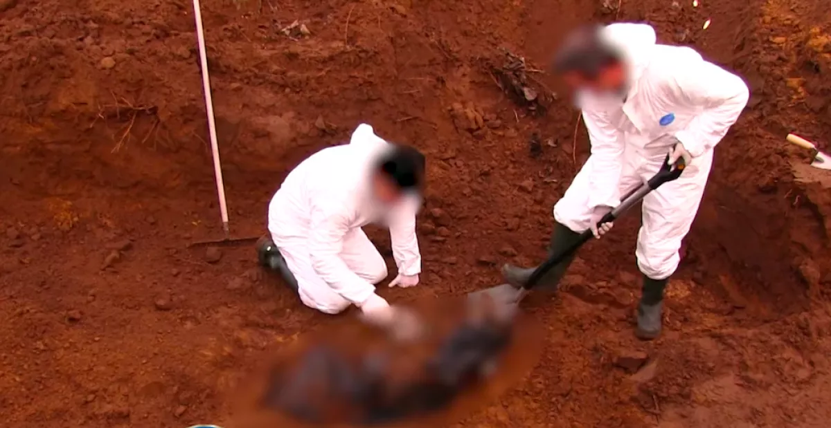 Megrázó felvételek! Egy erdőben elásva találták meg Gyula holttestét - Fotók, videó