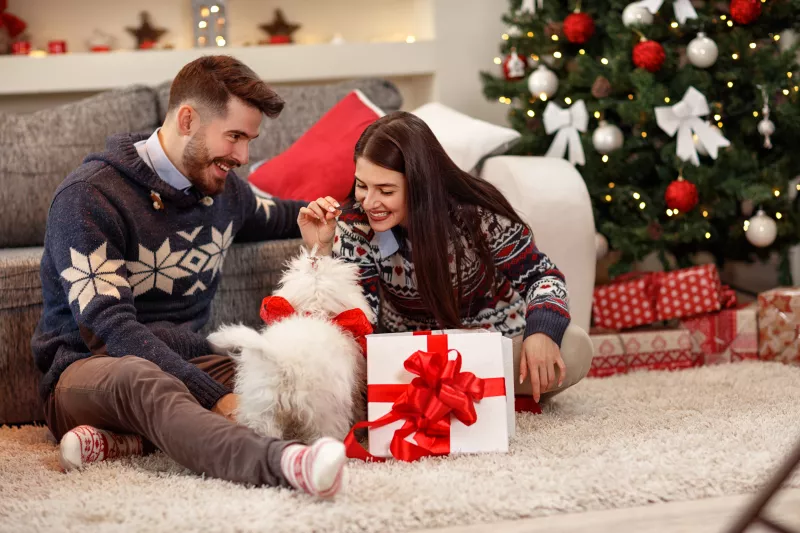 SKORPIÓ. Épp most vagy túl egy szakításon és az utolsó dolog, amire vágysz, az egy újabb pasidráma. Most legalábbis ezt gondolod, de jön valaki, aki elég gyorsan megváltoztatja a hozzáállásod és még magadhoz képest is extra gyorsan leszel fülig szerelmes.