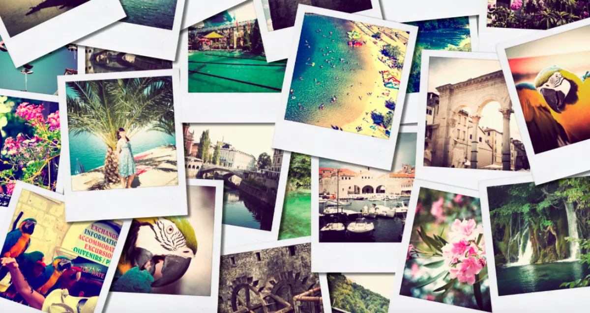 Zseniálisak: itt az első Insta-posztok! Kutya, szelfi és csaj! - Fotók