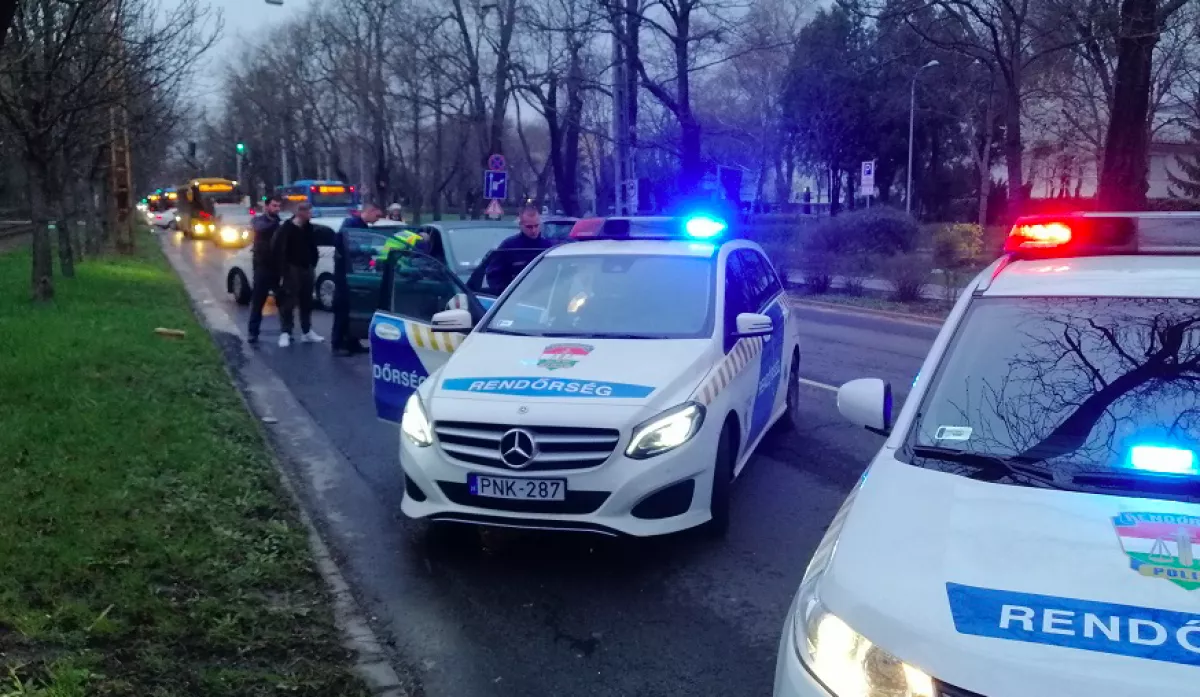 Elkapták a "hólapátos betörőket" Budán - A rendőrautóba akarta rejteni a szajrét az egyik - Fotók
