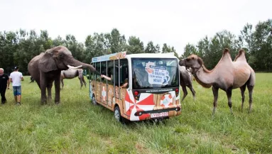 Egy ország várta az autós Szafari hétvégi megnyitóját - szomorú hír érkezett!