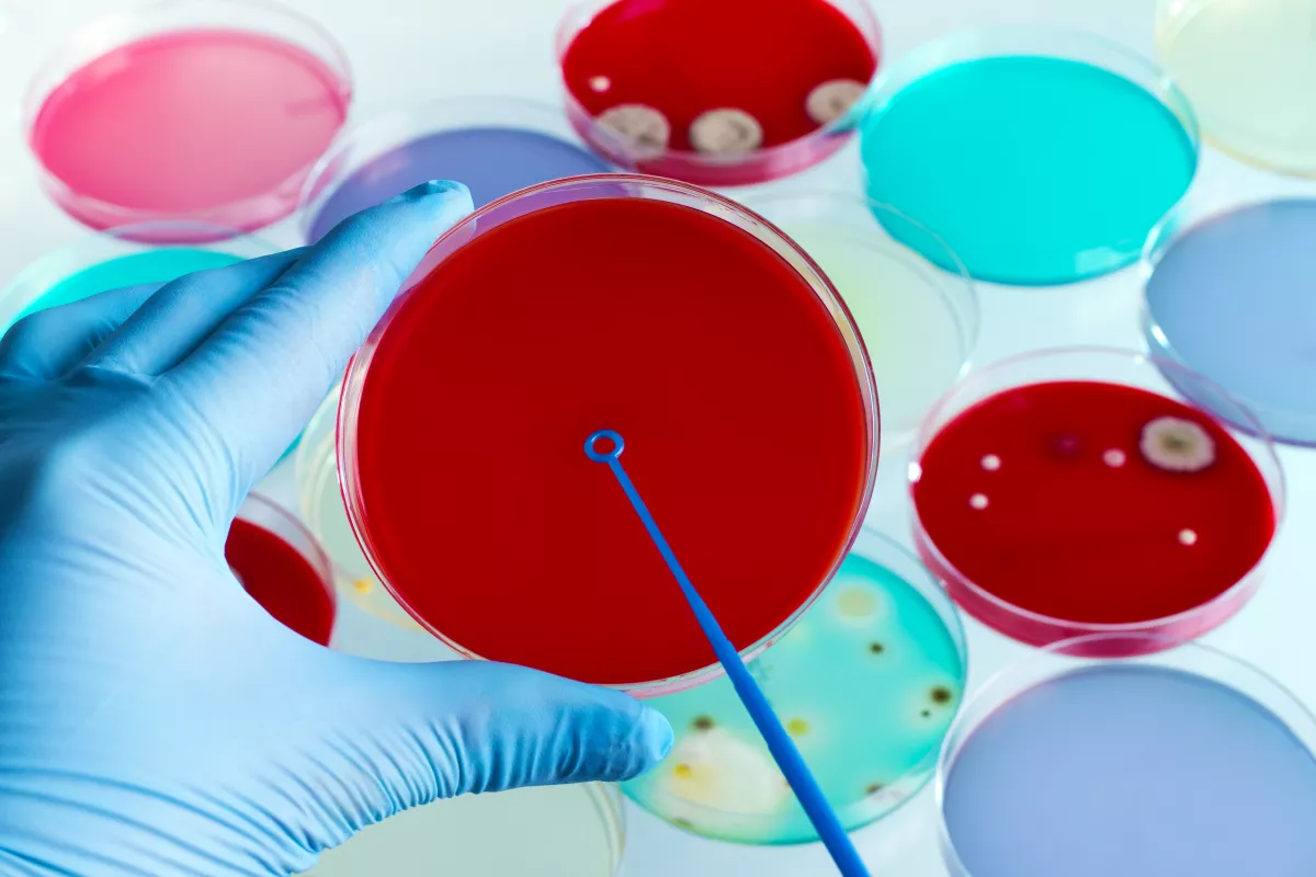 Vettél ilyen kolbászt? Nehogy megedd! Vidd vissza!