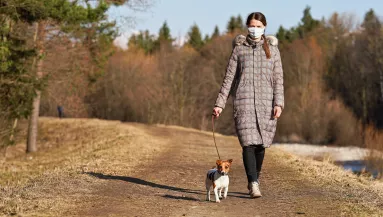 Bréking! Megvan a megállapodás, így lehet kutyát sétáltatni szerdától