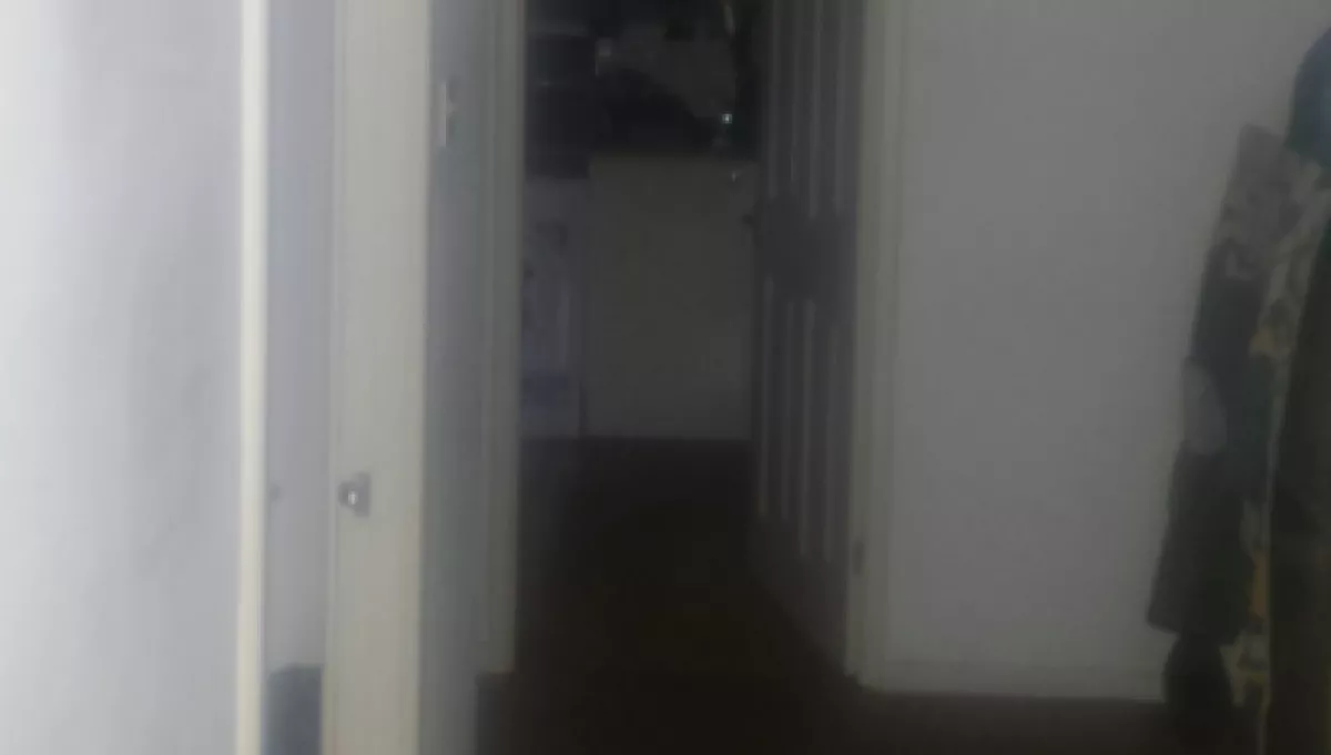 Fura zajok jöttek a férfi konyhájából, lőtt egy fotót, amitől földbe gyökerezik a lábad!