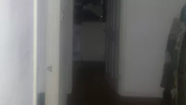 Fura zajok jöttek a férfi konyhájából, lőtt egy fotót, amitől földbe gyökerezik a lábad!