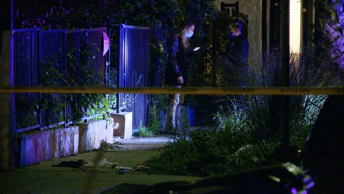 MEGRÁZÓ KÉPEK: Lady Gaga teljes sokkban, lelőtték a kutyasétáltatóját