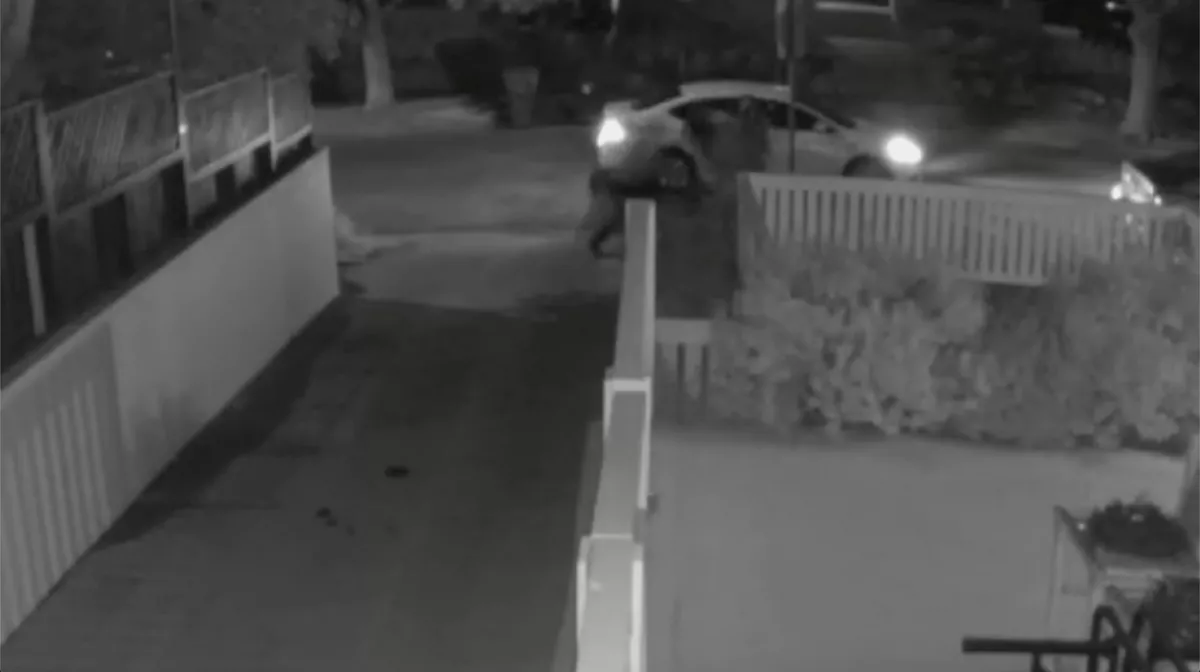 HÁTBORZONGATÓ KÉPSOROK: előkerült a videó Lady Gaga kutyasétáltatójának támadásáról!