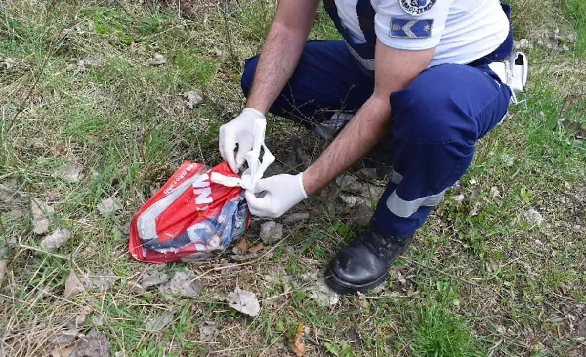 Nyűszítő, zacskóba zárt kiskutyákat mentettek a rendőrök - Fotók