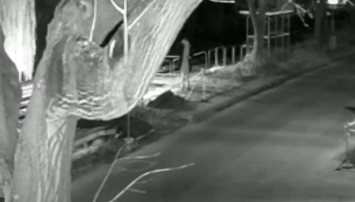 FELISMERED? Lefotózta a gödörbe esett férfit, majd magára hagyta - meghalt! - VIDEÓ