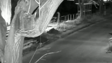 FELISMERED? Lefotózta a gödörbe esett férfit, majd magára hagyta - meghalt! - VIDEÓ