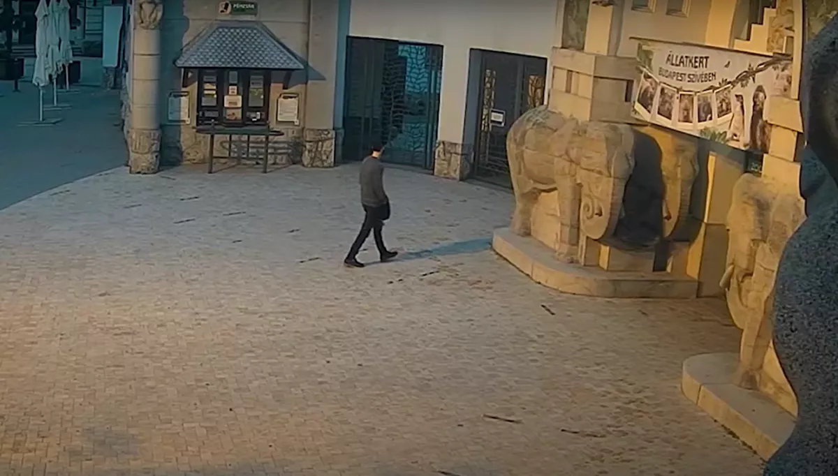 FELISMERED? Videót tett közzé a rendőrség az állatkerti graffitizőről!