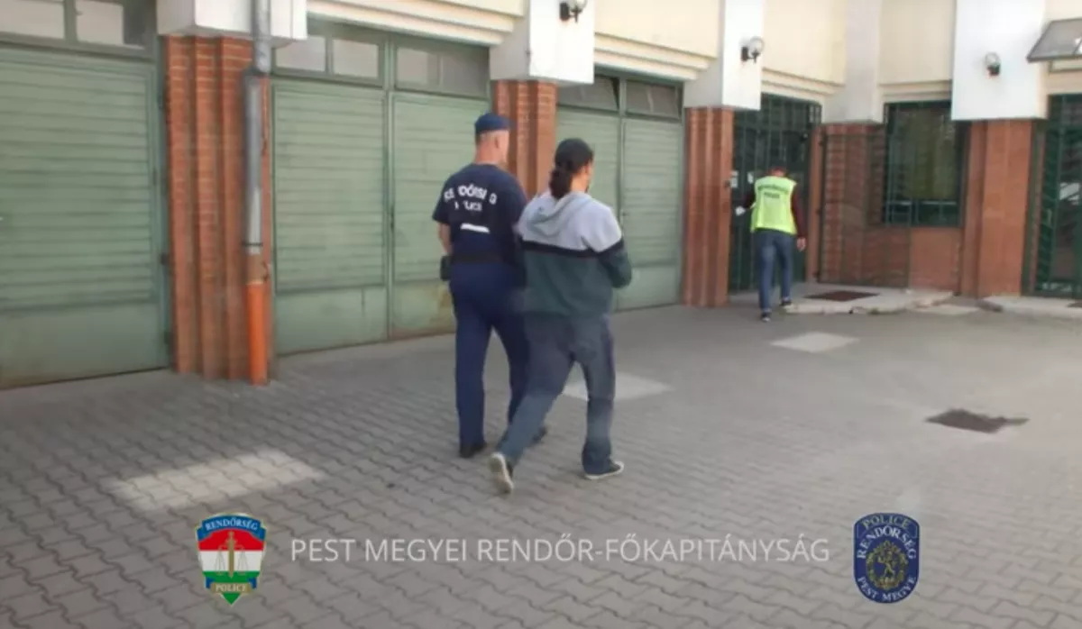Őrizetben a 32 éves albertirsai szexragadozó - Fotók