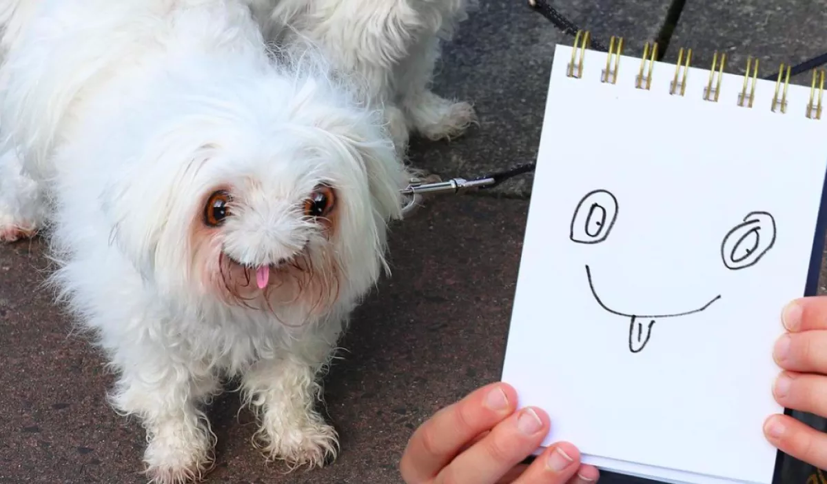 Ez történne, ha a gyereked rajzai valósággá válnának!