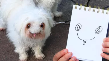 Ez történne, ha a gyereked rajzai valósággá válnának!