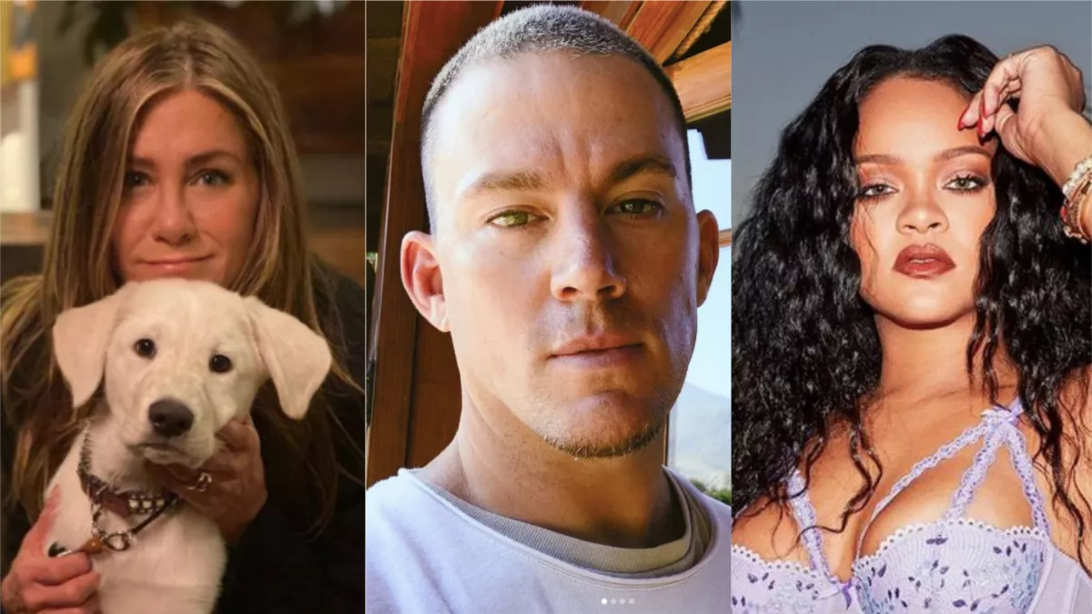 TŰZNYELŐ, CSIRKEEMBER, HULLAFODRÁSZ - a sztárok eredeti foglalkozásától dobsz egy hátast! - FOTÓK