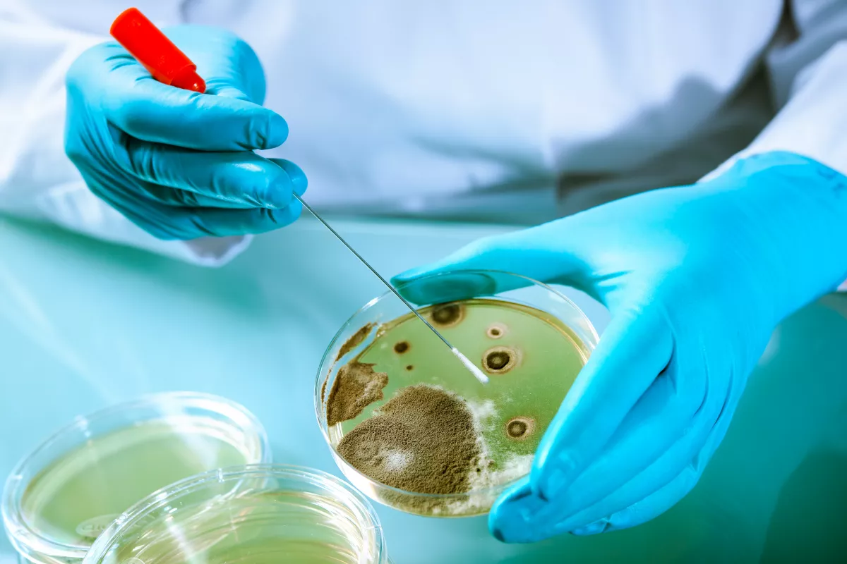 Veszélyes étrendkiegészítőt hívott vissza a Nébih!