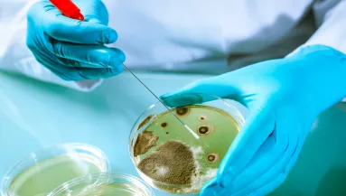 Veszélyes étrendkiegészítőt hívott vissza a Nébih!