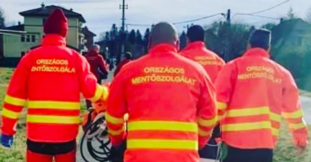 Egy kisfiú mentette meg édesanyja életét Bács-Kiskun megyében