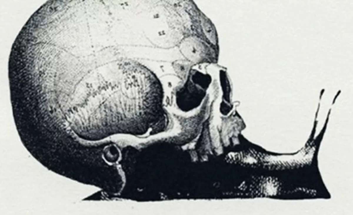 Mit látsz meg először ezen a képen? Meglepő igazságot árul el Rólad!