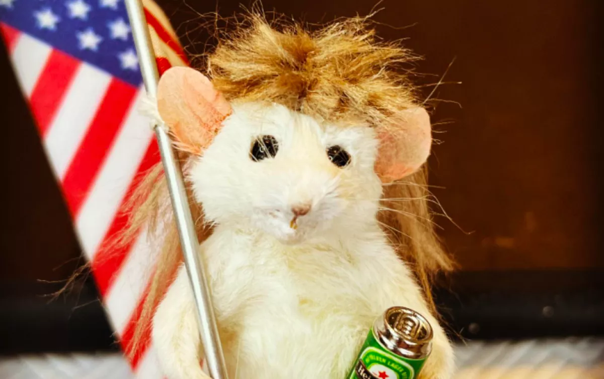 Undorító? Vagy cuki? - Kitömött egerekkel keres tízmilliókat ez a nő - Fotók