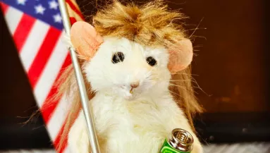 Undorító? Vagy cuki? - Kitömött egerekkel keres tízmilliókat ez a nő - Fotók