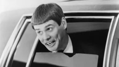 Dumb és Dumber frizurás oroszlán az internet sztárja - A gondozók szerint magának csinálta - Fotó