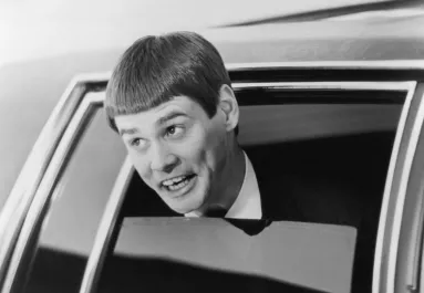 Dumb és Dumber frizurás oroszlán az internet sztárja - A gondozók szerint magának csinálta - Fotó