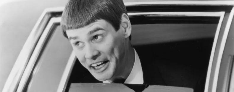 Dumb és Dumber frizurás oroszlán az internet sztárja - A gondozók szerint magának csinálta - Fotó