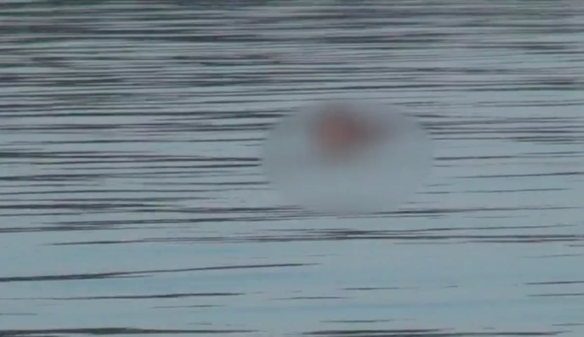 Kamera rögzítette: így bukkant fel a vízből a Balatonba fulladt egyik fiú holtteste