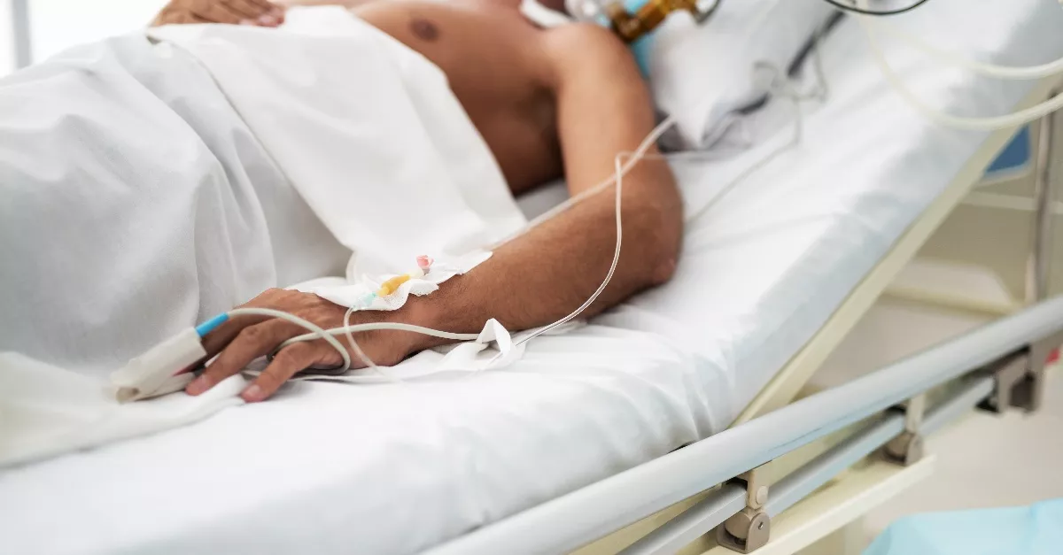 Megcsípte egy darázs, napok óta kómában van a magyar rockzenész