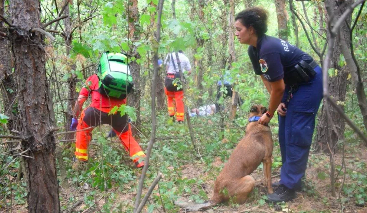 "Ne hagyja el magát, János" - eltévedt, mozgásképtelen férfi telefonált egy vecsési erdőből - Fotók